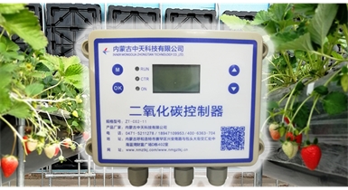 中國北方CO?新技術，將促進農作物光合作用和光合產物的生成